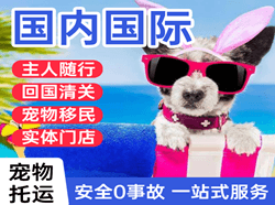 长白山航空邮寄国际宠物托运 【国